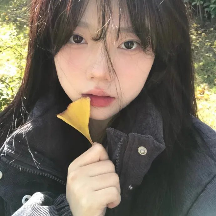 约会规则第六季
